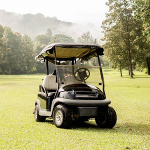 Golf Carts